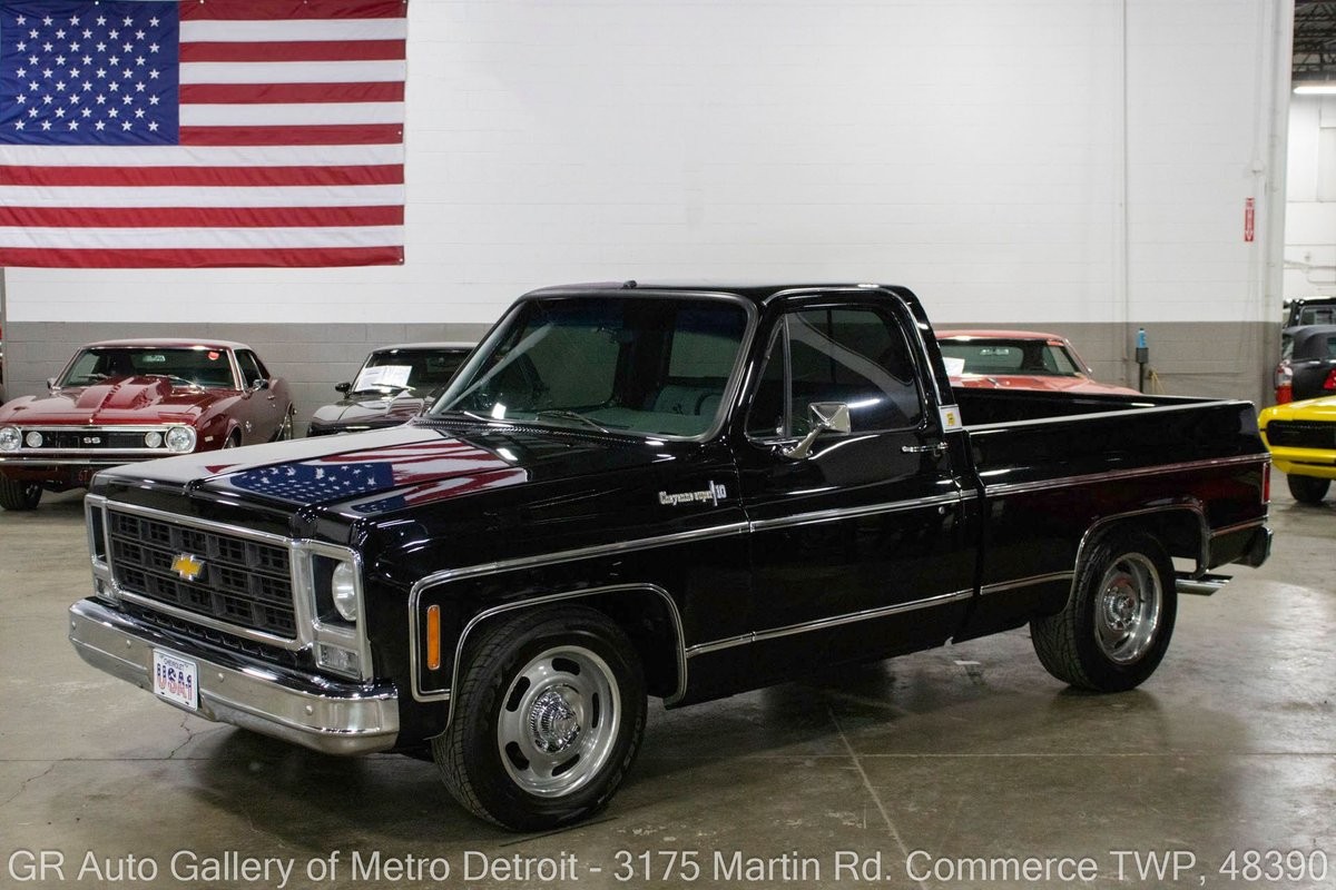 Chevrolet-C-10-1979-Hounds-Tooth