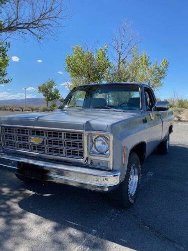 Chevrolet-C10-1979-Gray