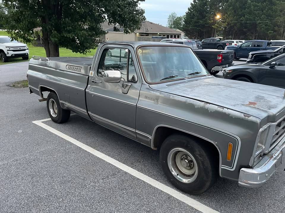 Chevrolet-C10-longbed-1979-grey