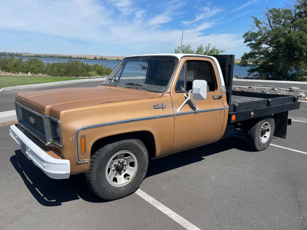 Chevrolet-C20-34-custom-1974-brown