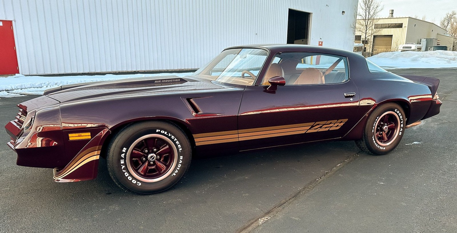 Chevrolet-Camaro-Z28-1980-Coupe-Brown