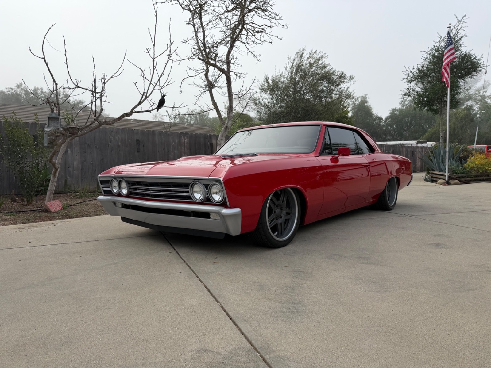 Chevrolet-Chevelle-1967-Coupe-Black