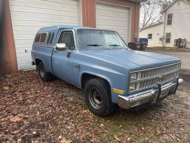 Chevrolet-Ck-truck-2wd-regular-cab-1500-1982-Blue-Blue