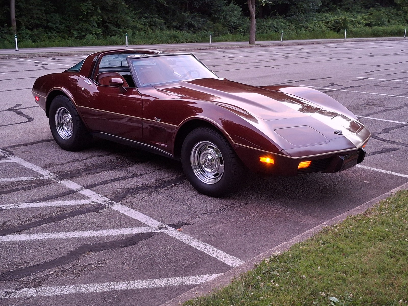 Chevrolet Corvette 1978