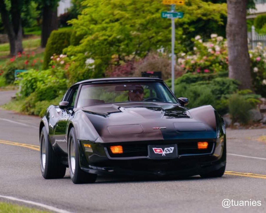 Chevrolet Corvette 1981