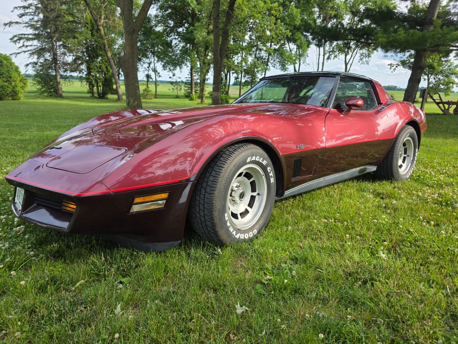 Chevrolet Corvette 1981