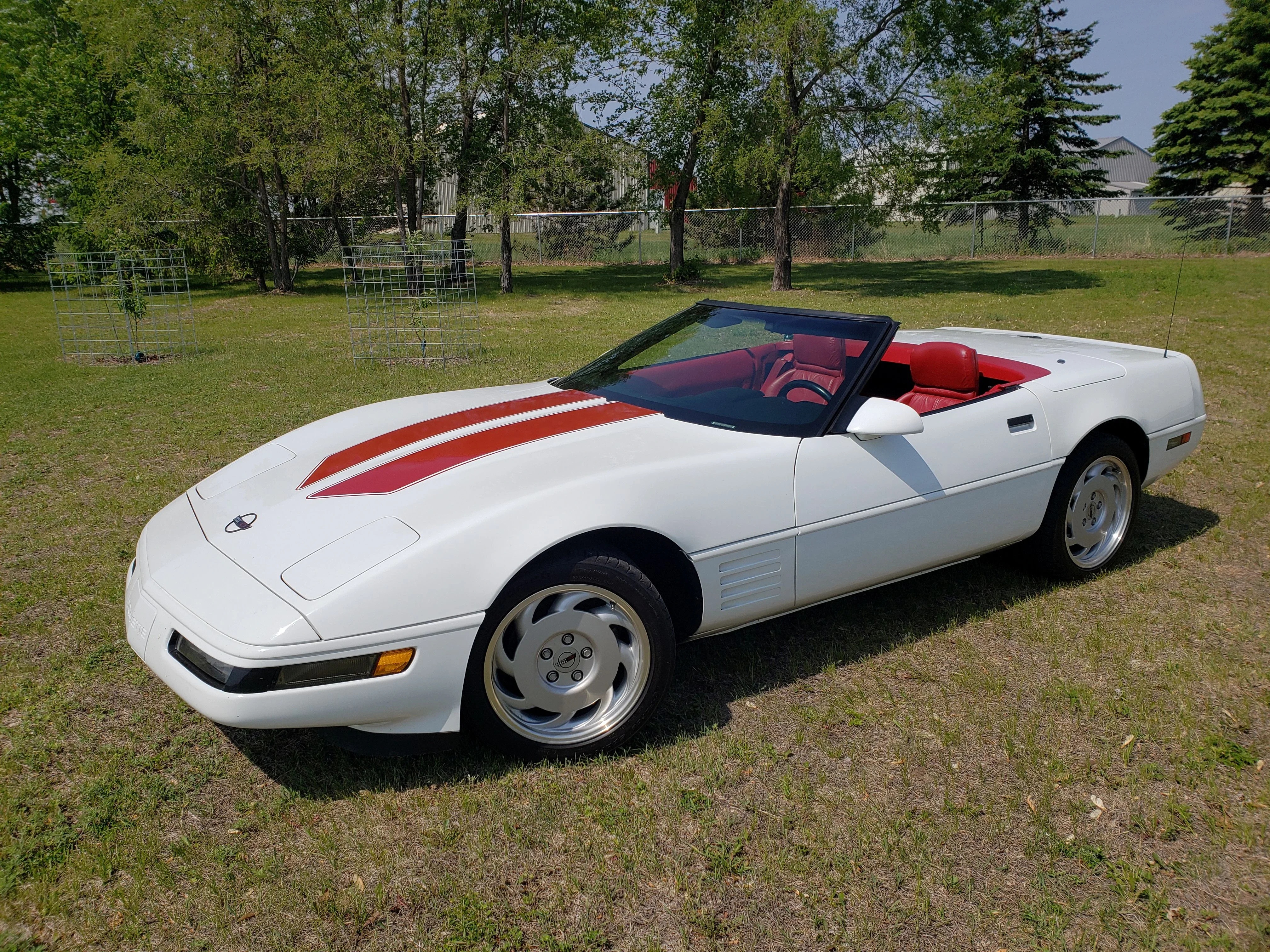 Chevrolet-Corvette-1991-White-Red