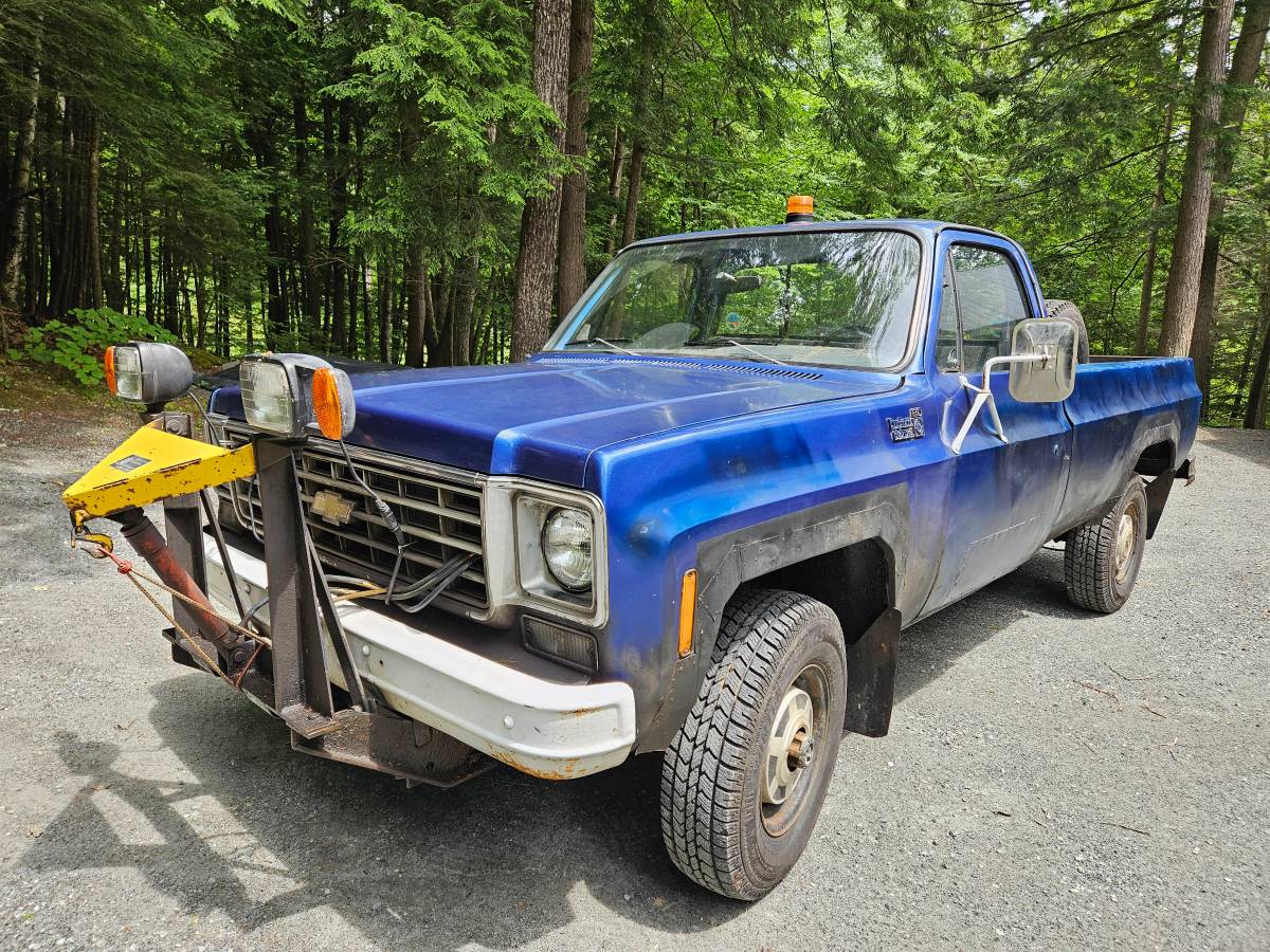 Chevrolet-Custom-deluxe-1976-blue