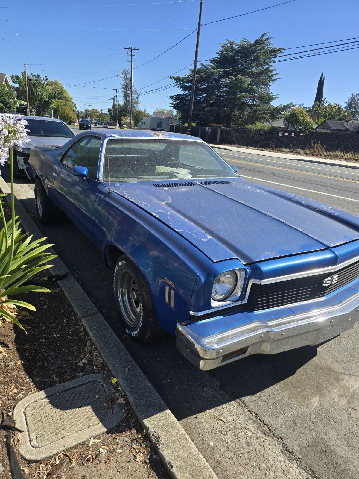 Chevrolet-El-Camino-1973-Fastback-Black