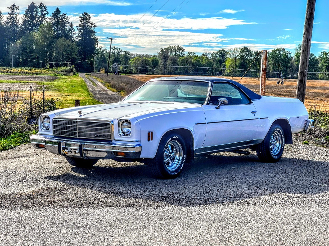 Chevrolet-El-Camino-1974-Blue