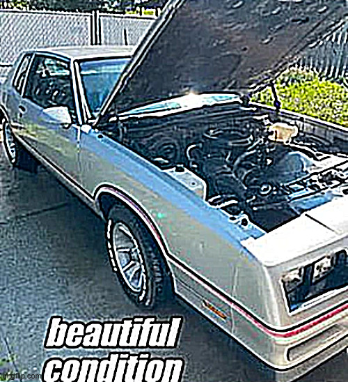 Chevrolet-Monte-Carlo-1986-Coupe