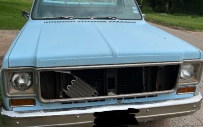 Chevrolet Other 1977