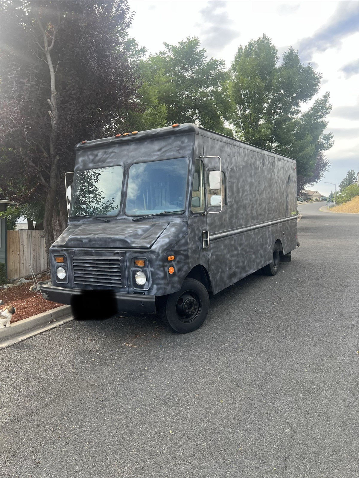 Chevrolet P30 1994