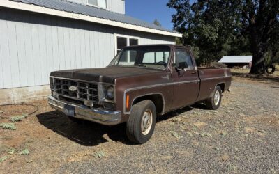 Chevrolet Pickup 1978