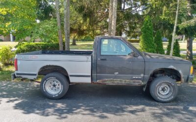 Chevrolet S-10 1993