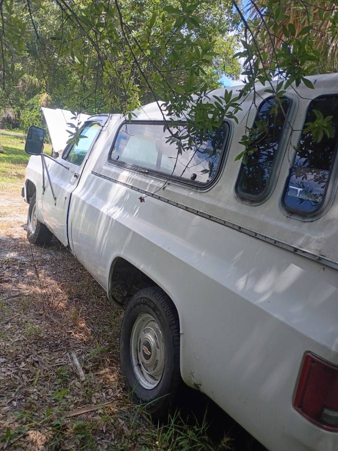 Chevy-1978-white