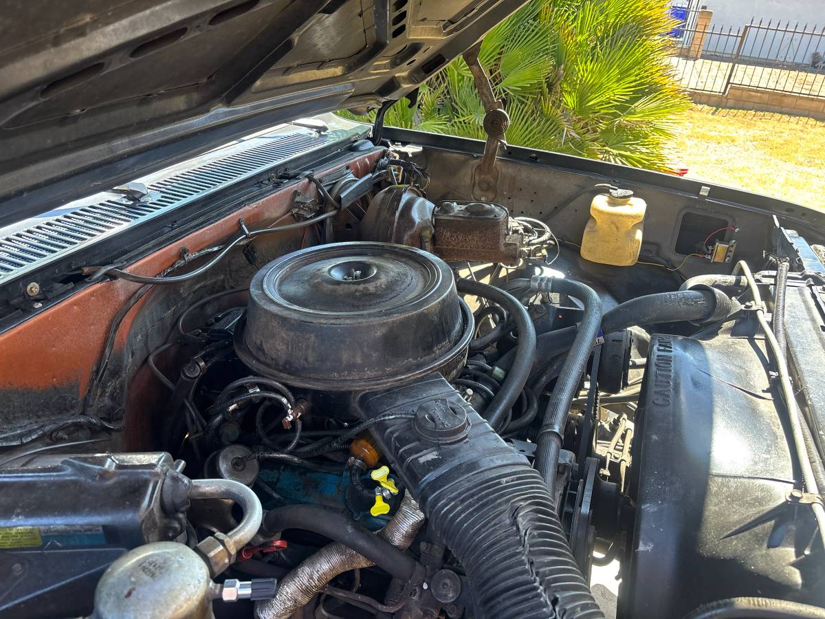 Chevy-c20-1981-black