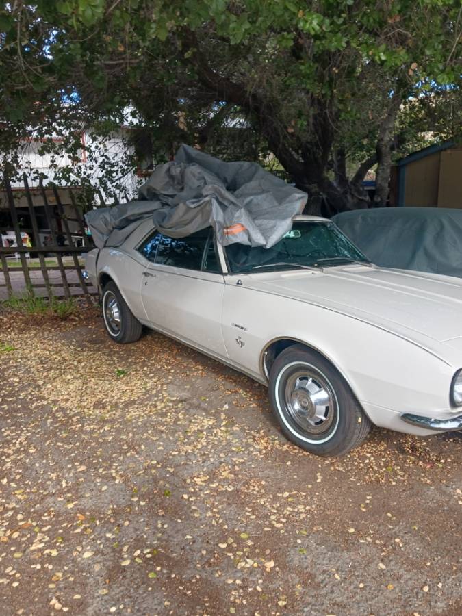 Chevy-camaro-1967-white