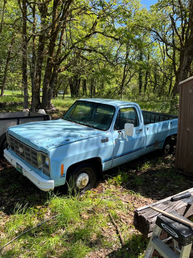 Chevy-custom-deluxe-20-1978-blue