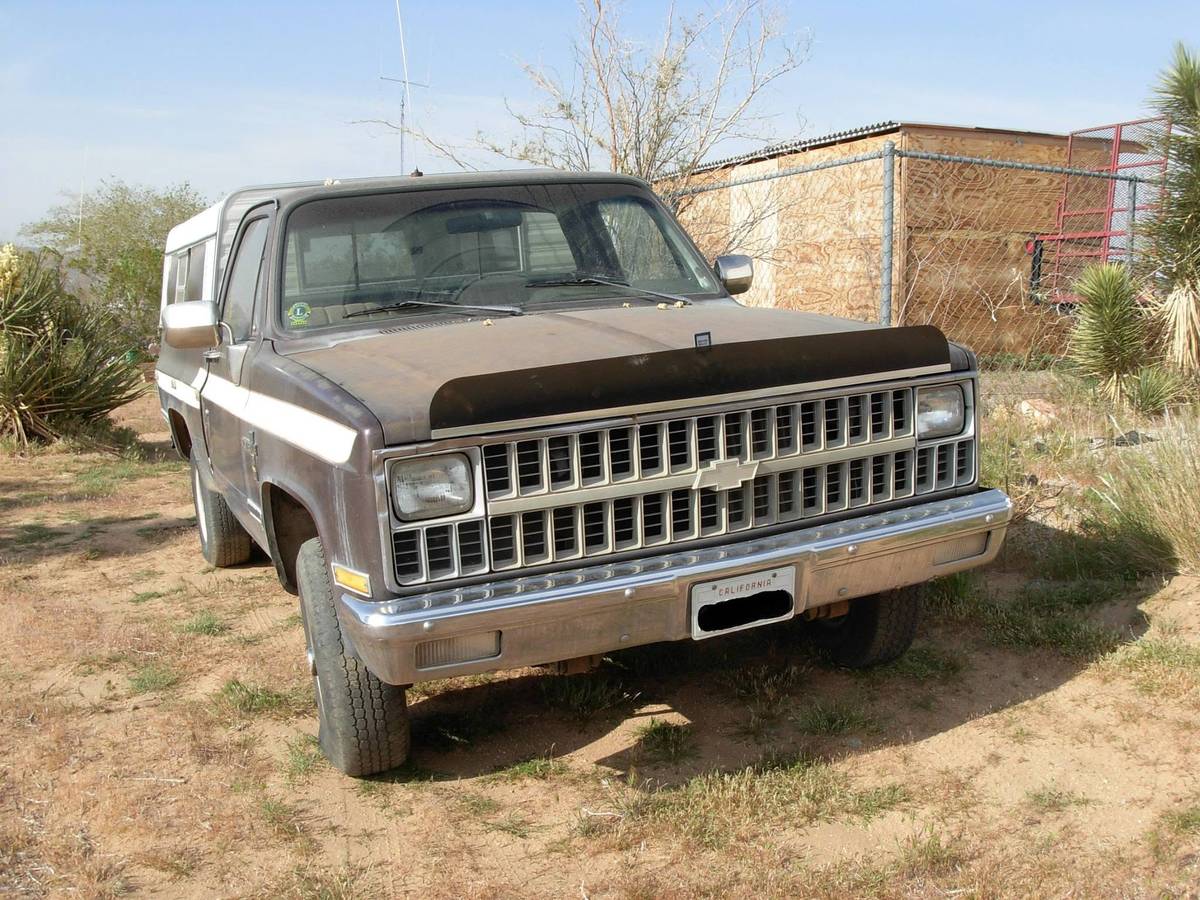 Chevy-k10-4x4-1981-brown