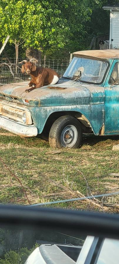 Chevy-silverado-1500-1965-green