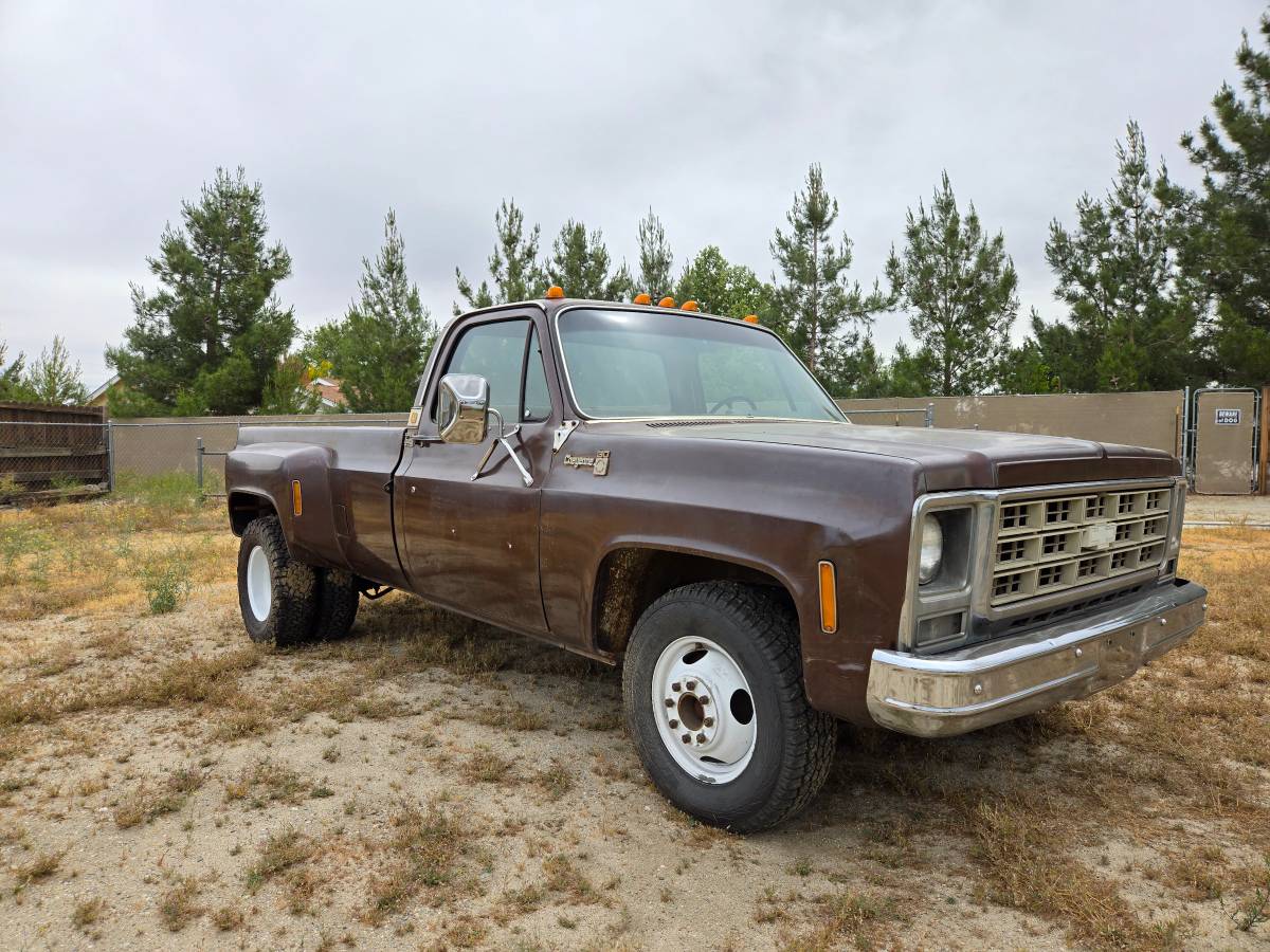 Cheyenne-1979-brown