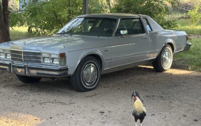 Chrysler Le Baron 1979