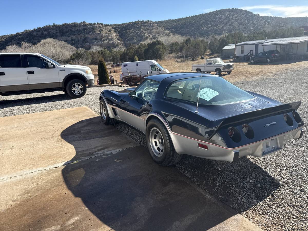 Corvette-l-82-1979-blue