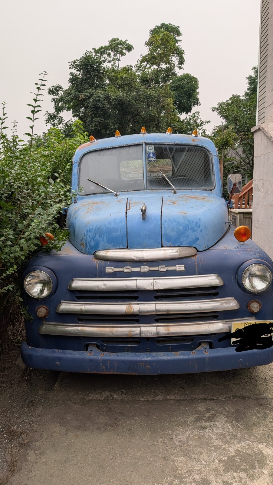 Dodge-B-1-1948-Standard-Cab-Pickup