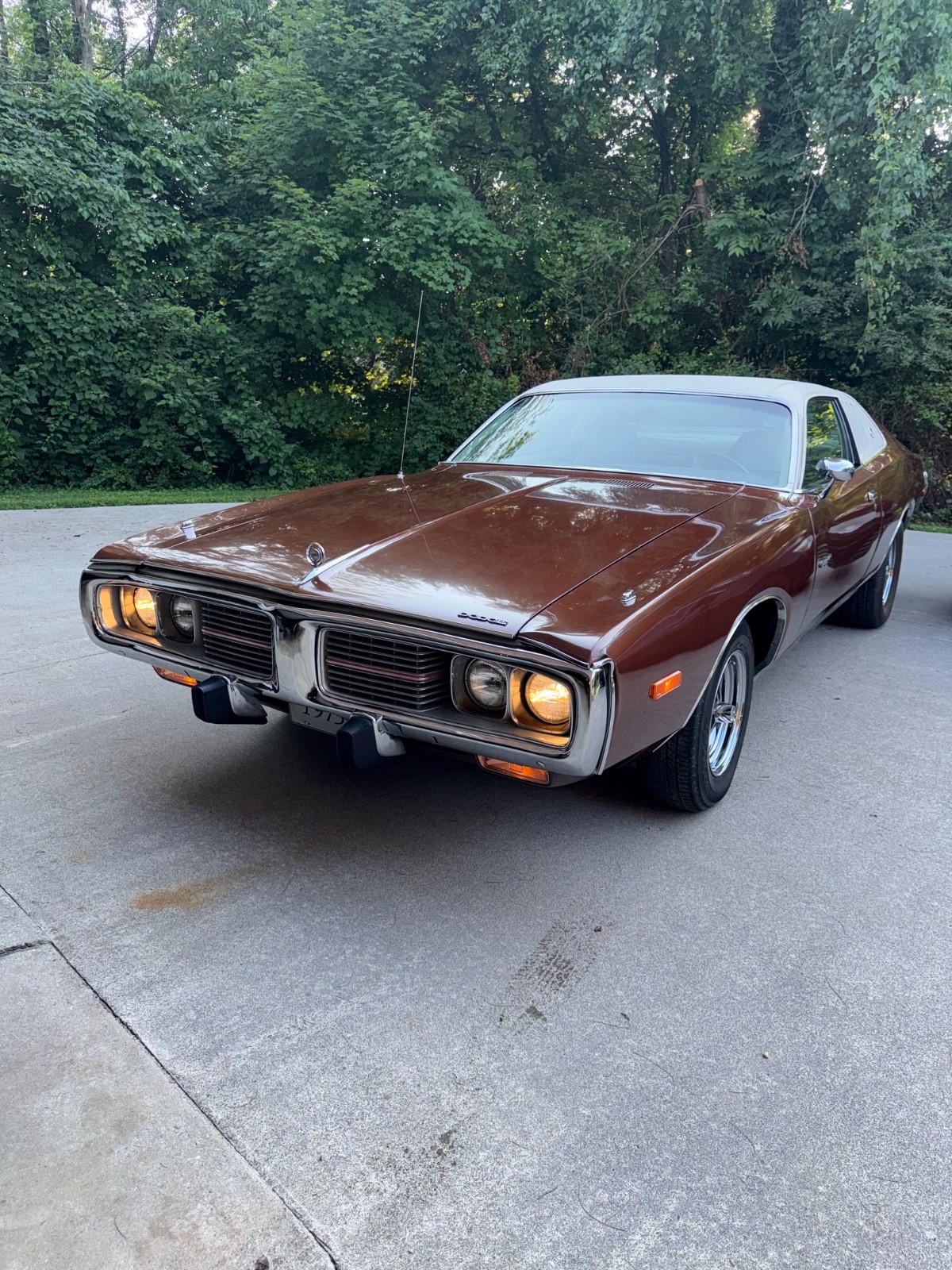 Dodge-Charger-1973-Coupe-Tan