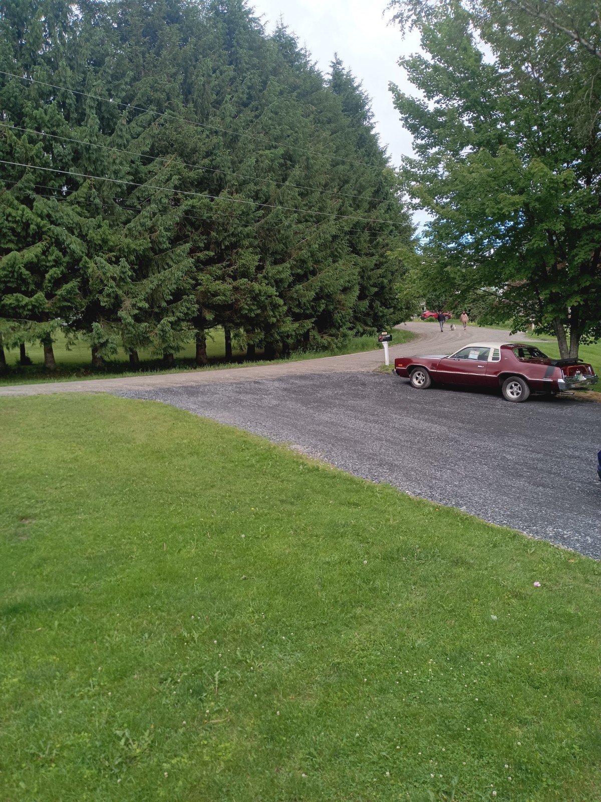 Dodge-Charger-1976-Sedan-Burgundy
