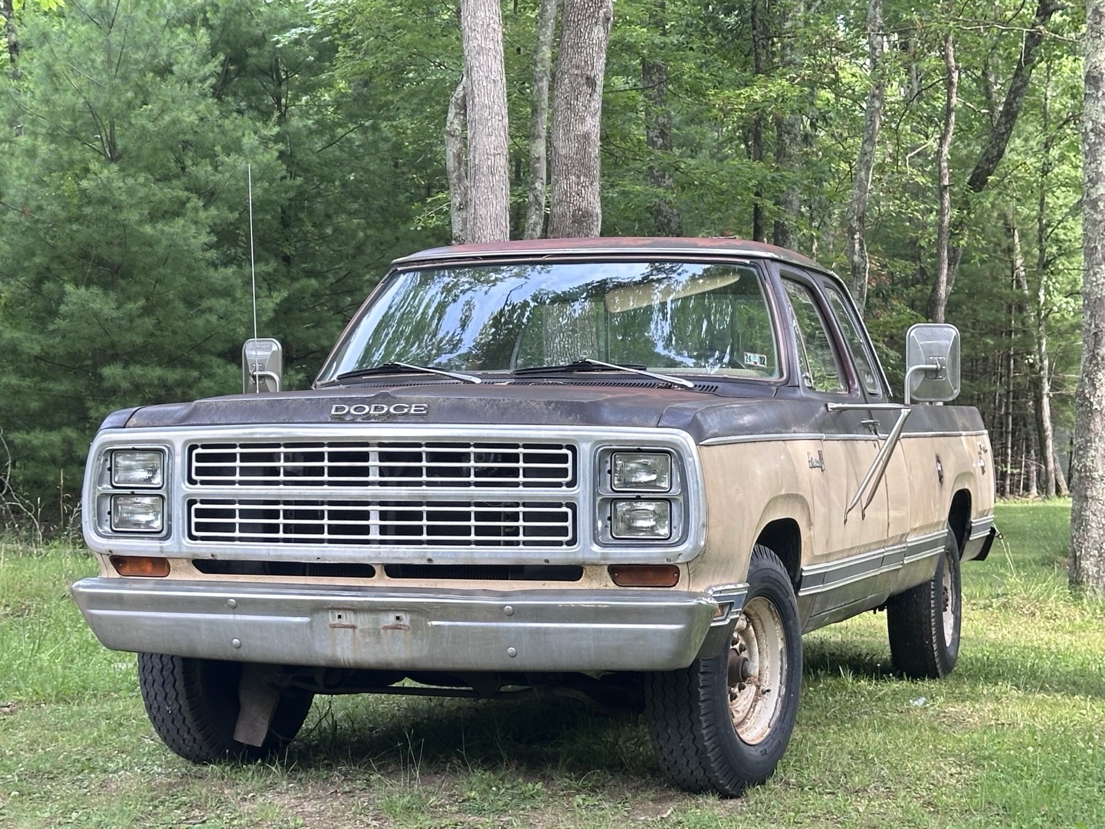 Dodge D150 1979