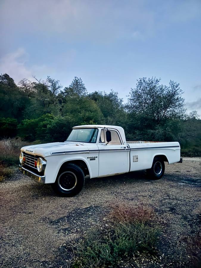 Dodge-D20-sweptside-camper-special-custom-1967-white