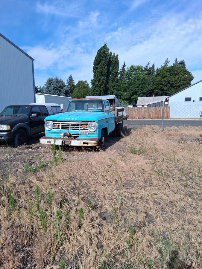 Dodge-D300-flat-bed-1966-blue