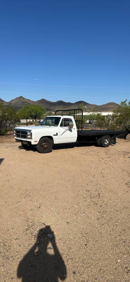 Dodge-D350-cab-chassis-1993-white