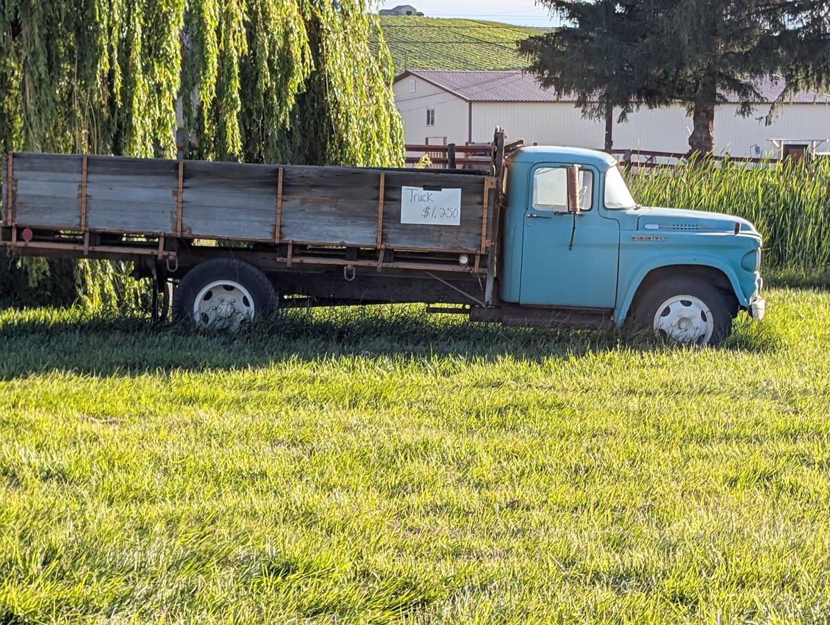 Dodge-D500-1954