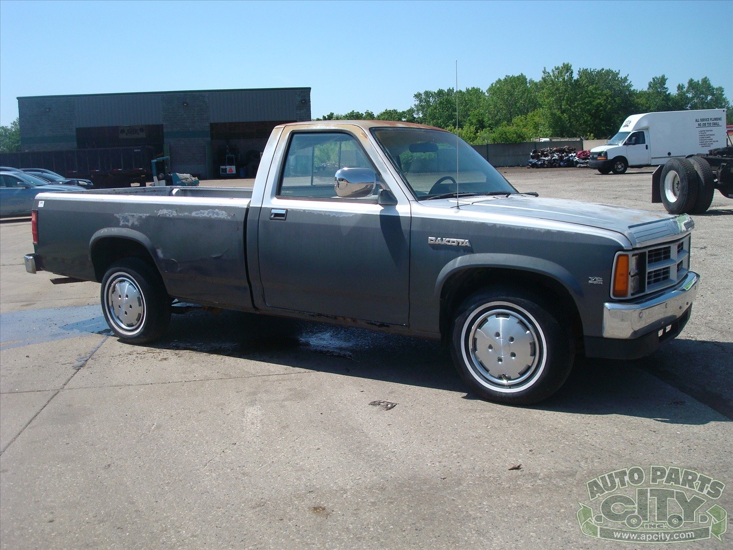Dodge-Dakota-1988-Standard-Cab-Pickup-Gray