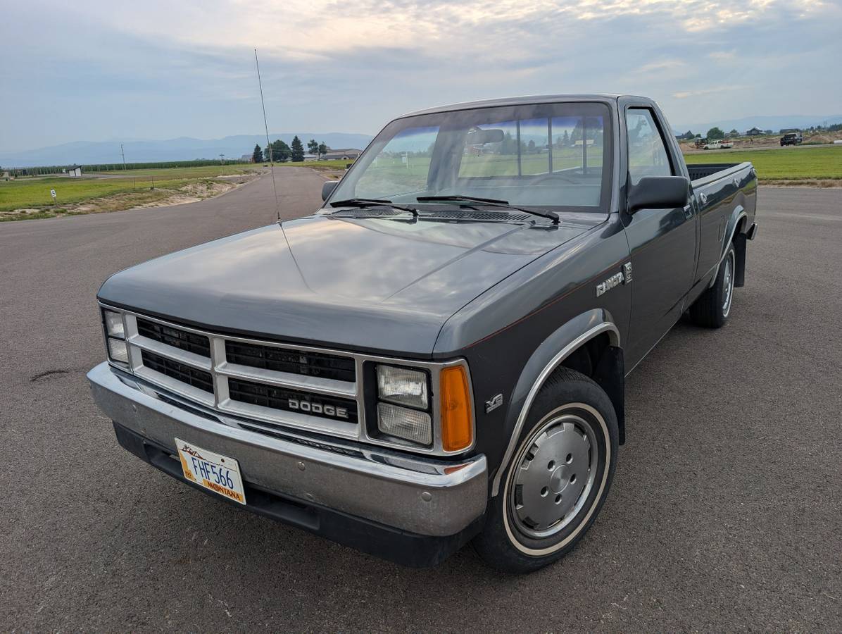 Dodge-Dakota-1988-grey