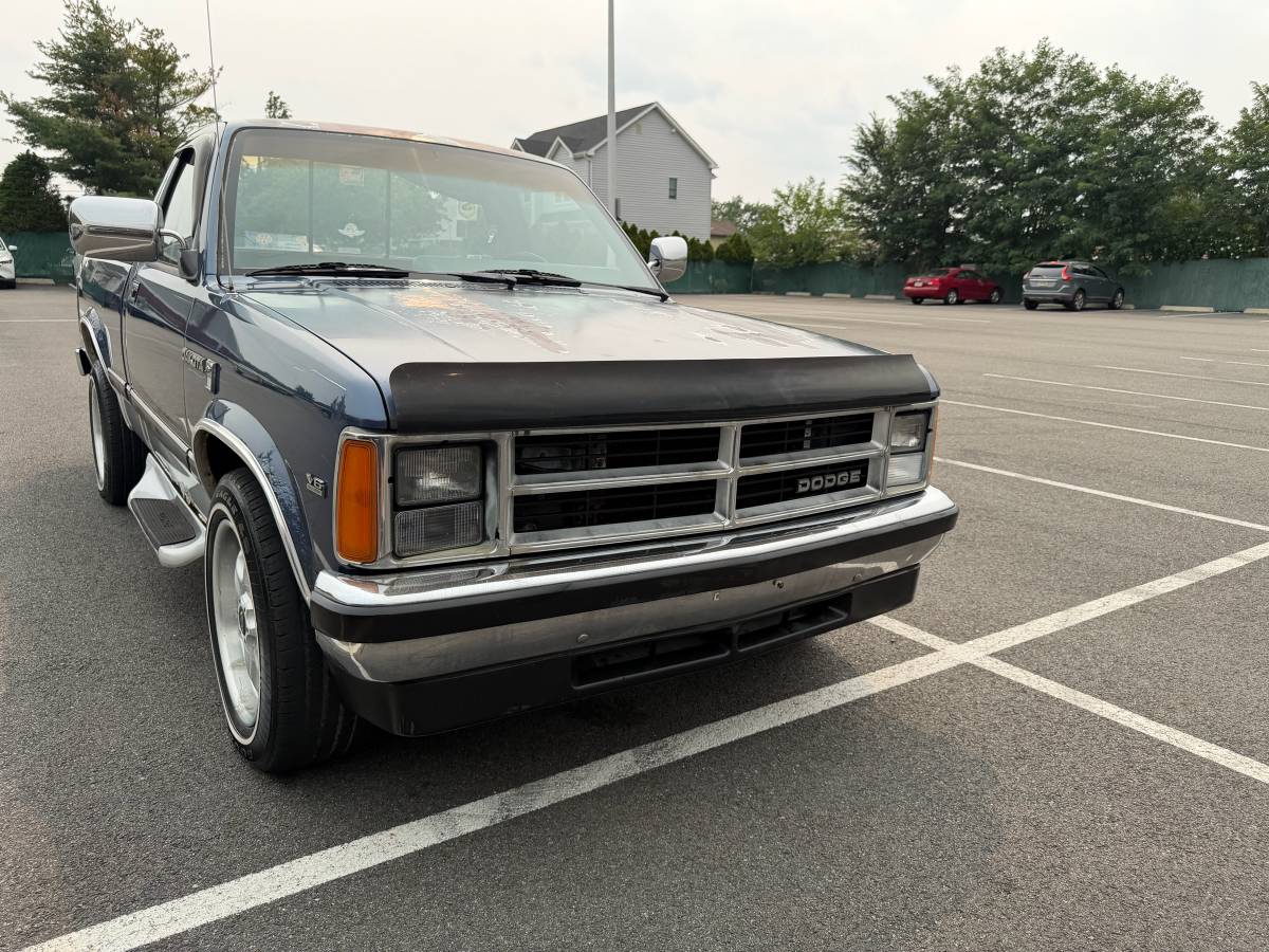 Dodge-Dakota-le-long-bed-1989-blue