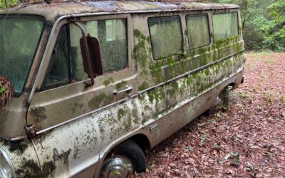 Dodge Other 1966