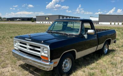 Dodge Other Pickups 1990