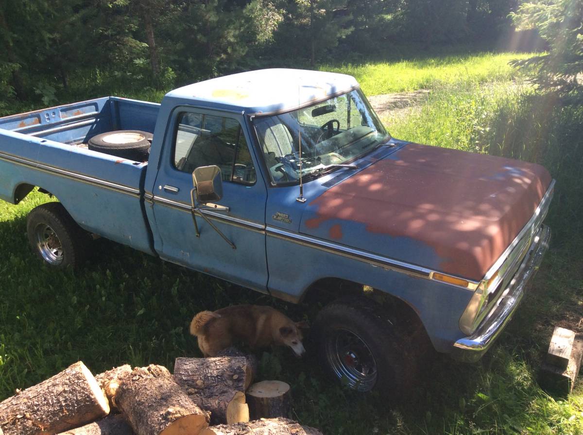 Ford-1977-blue