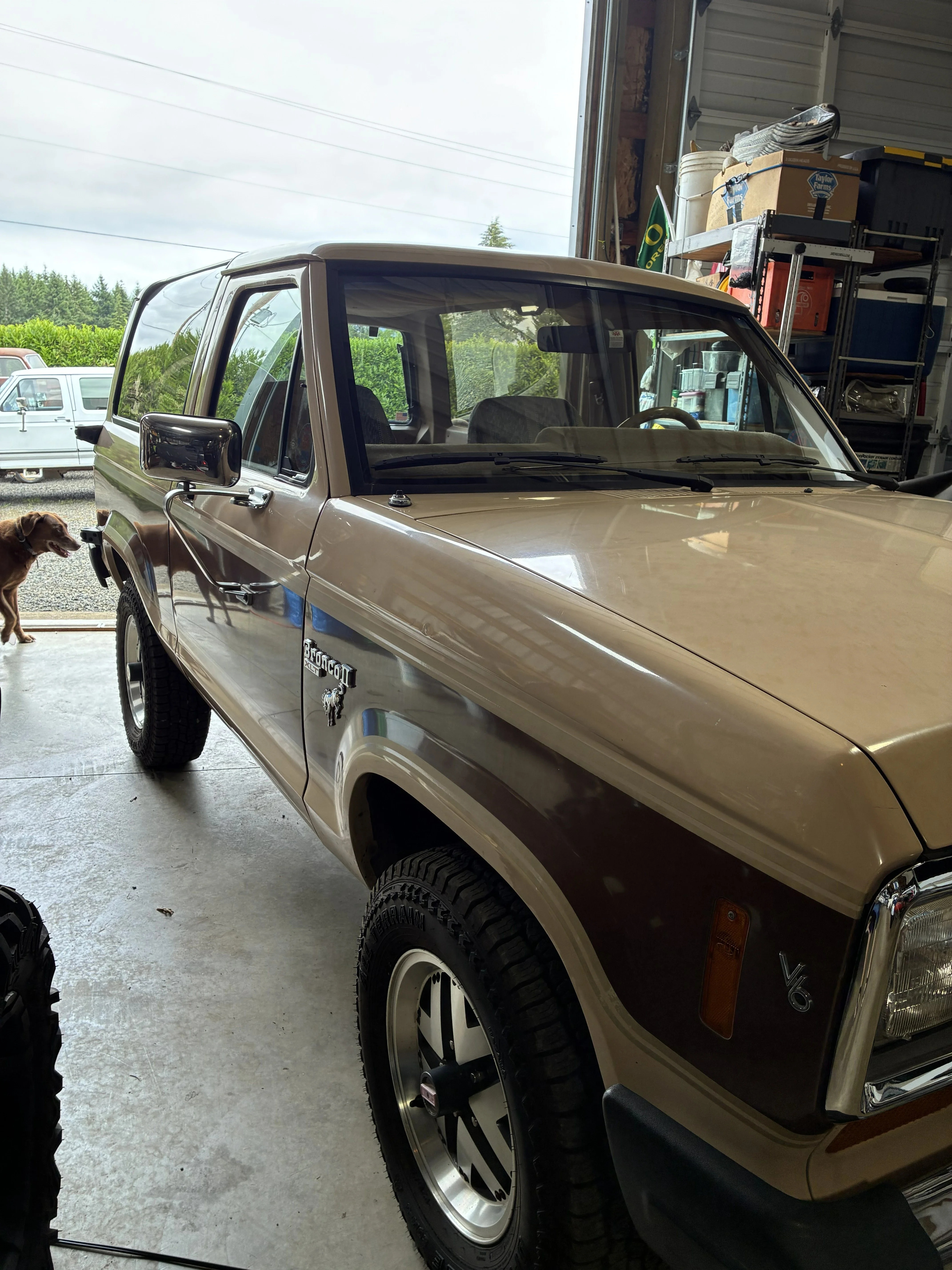 Ford-Bronco-ii-4wd-1985-Tan-Tan