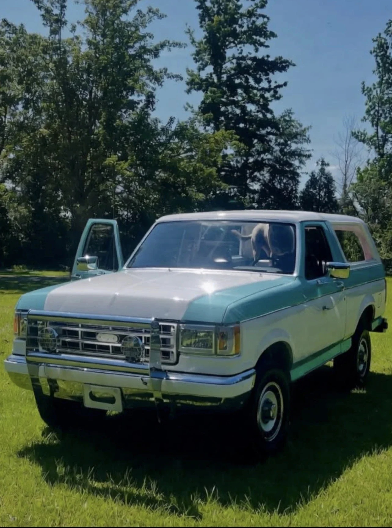 Ford-Bronco-xlt-1989-Turquoise-Gray