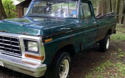 Ford Custom 1979