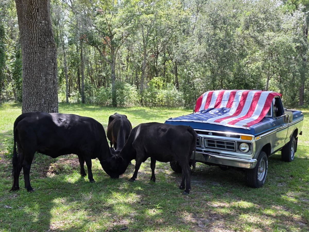 Ford-F-150-1976-blue