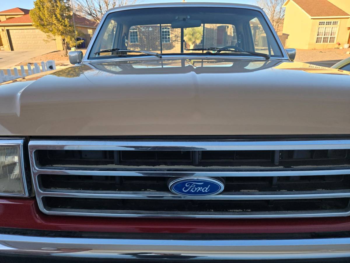 Ford-F-150-1989-custom
