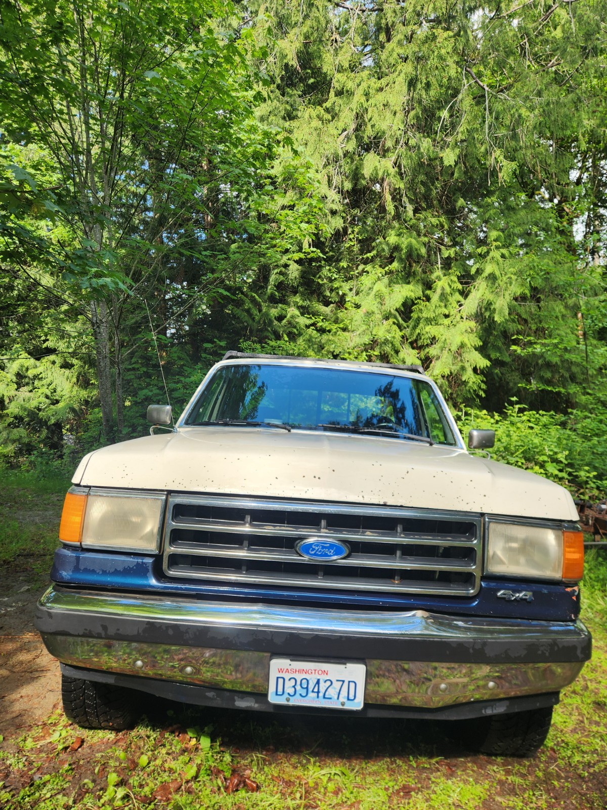 Ford F-150 1991