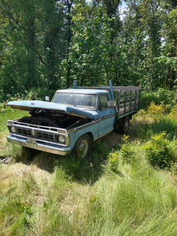 Ford-F-250-1974-blue