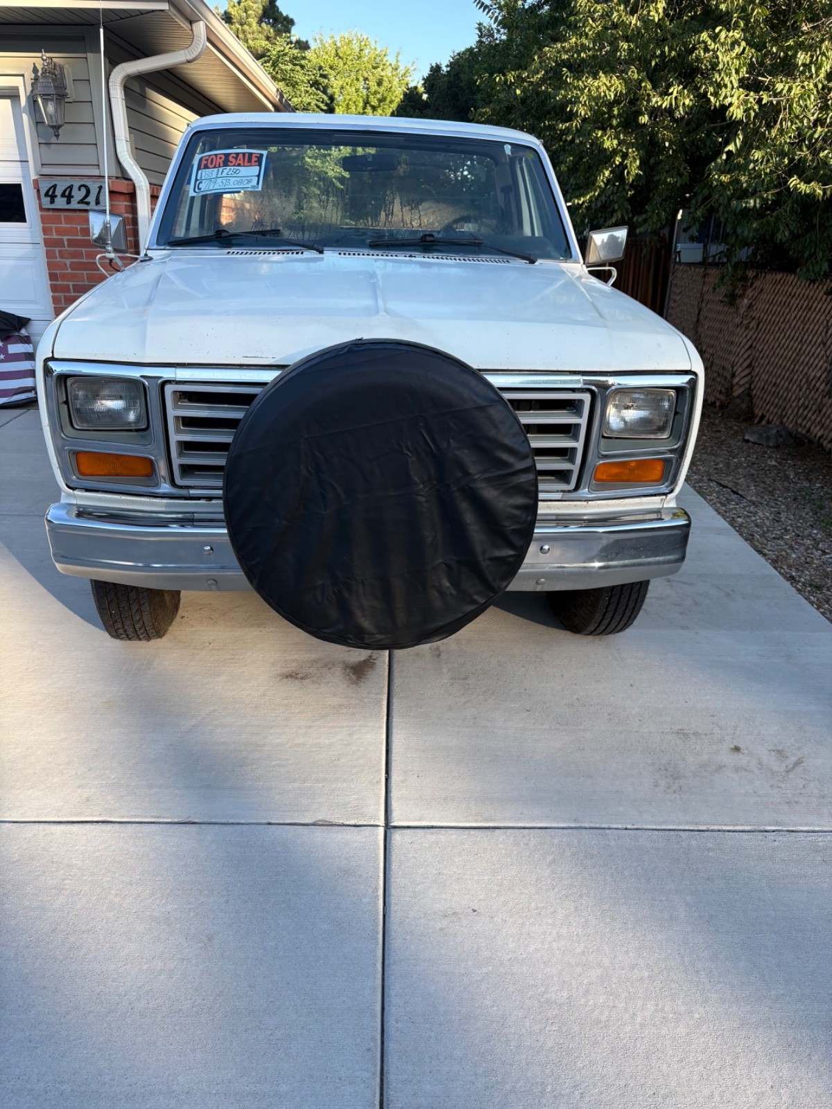 Ford-F-250-1983-Standard-Cab-Pickup-Blue